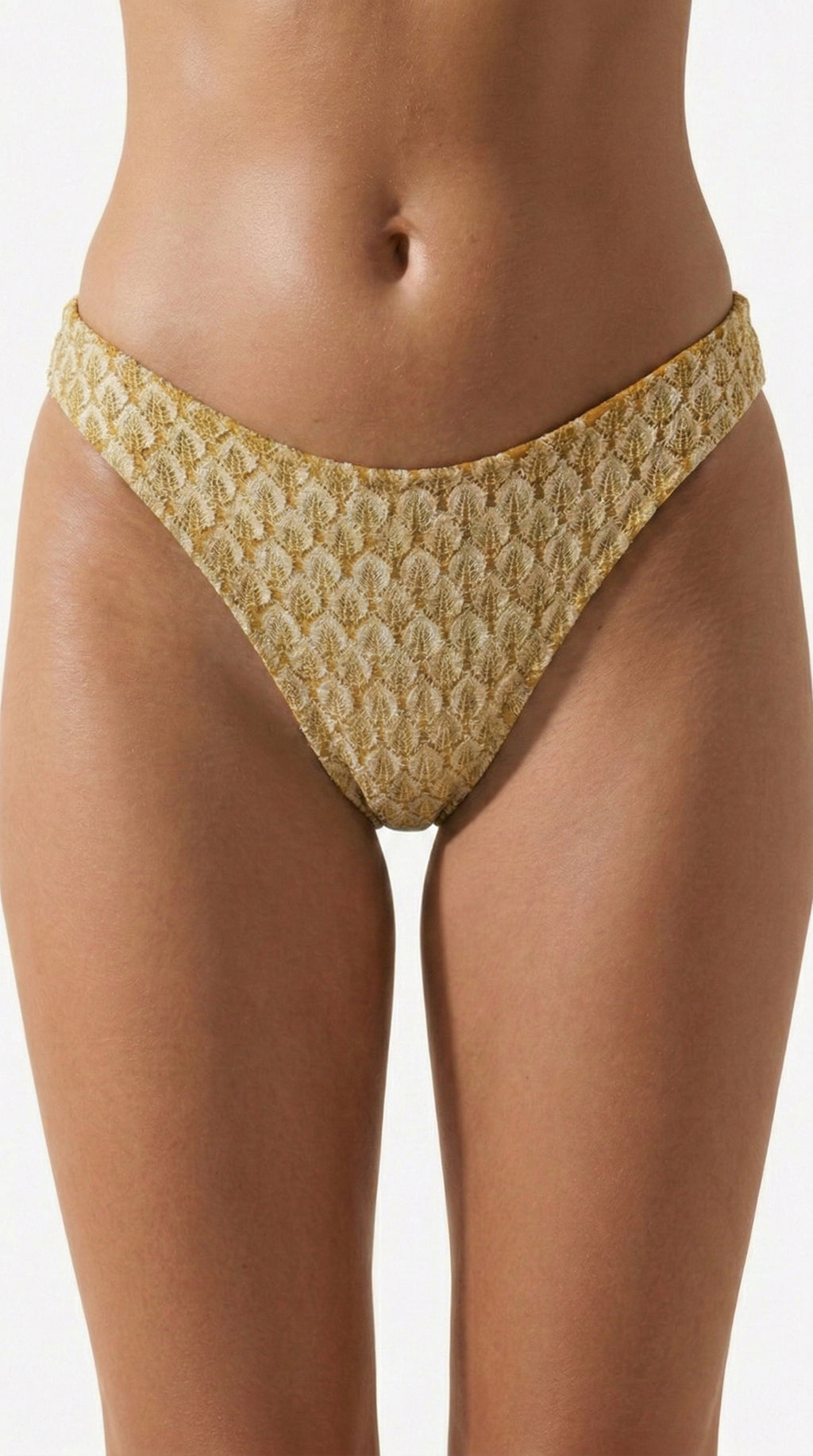 Gold Rush - Full Bottom